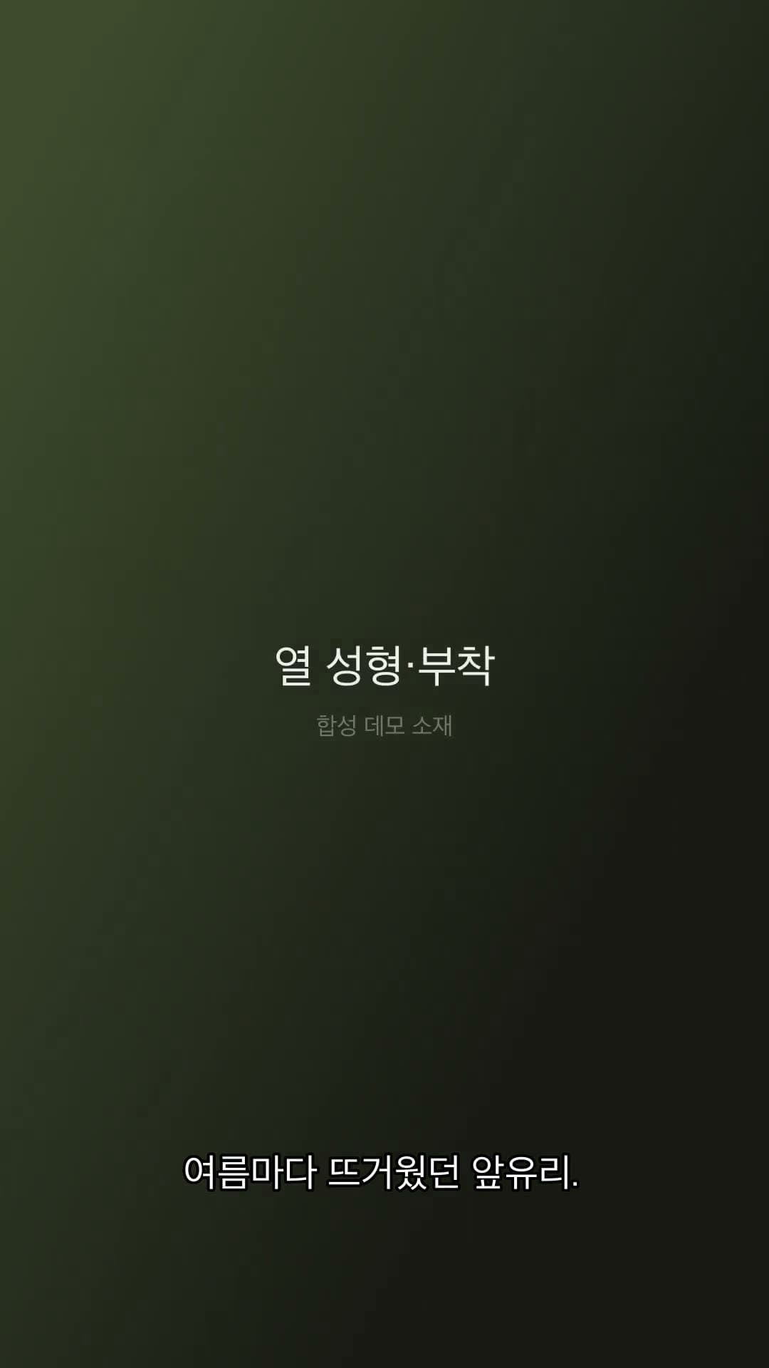 카니발 KA4 브이쿨 전면·측후면 시공기