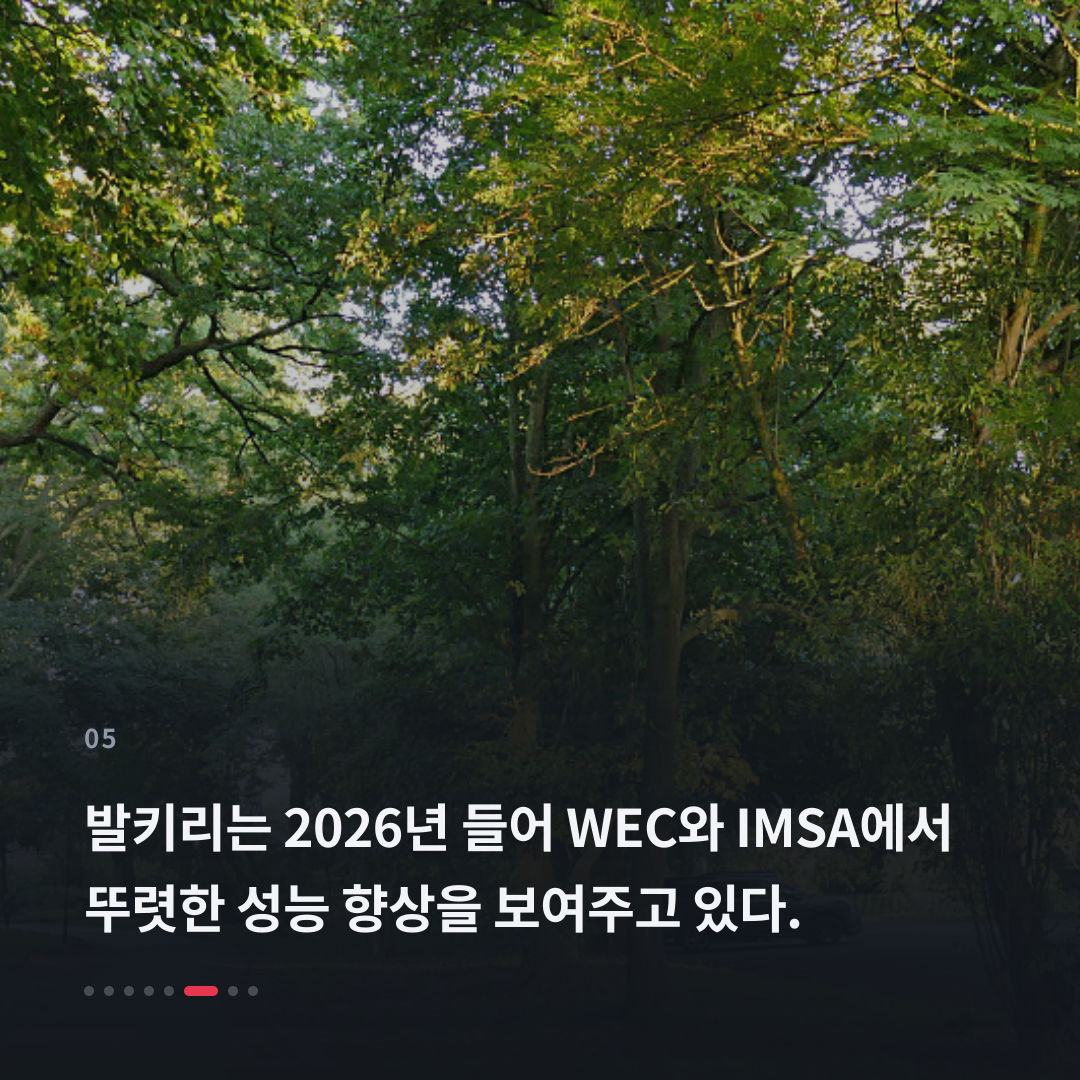 5번째 카드