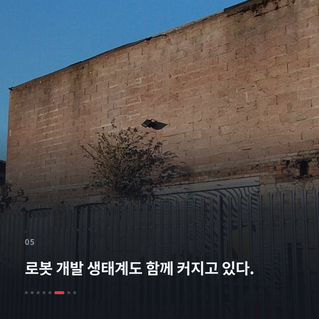 5번째 카드