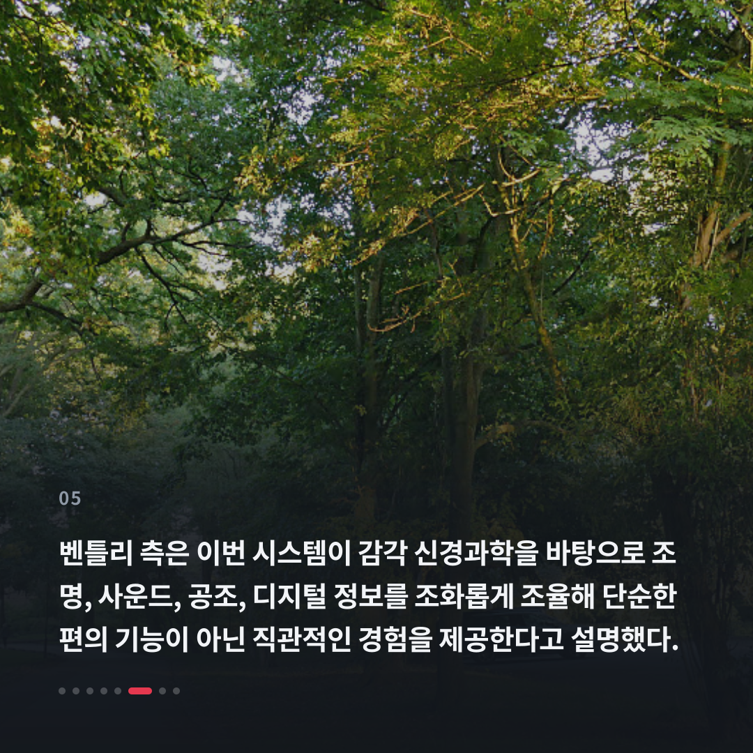 5번째 카드