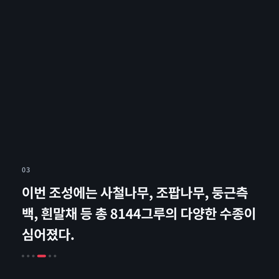 3번째 카드