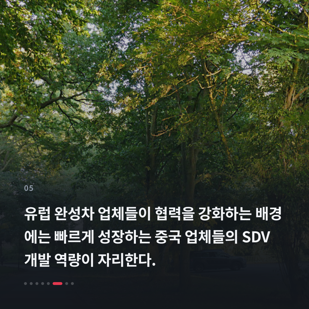 5번째 카드