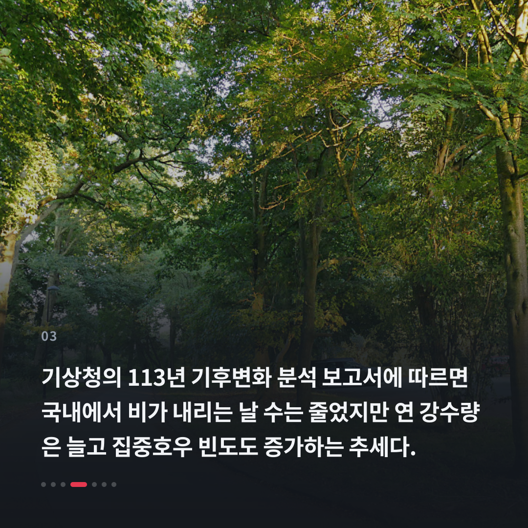 3번째 카드