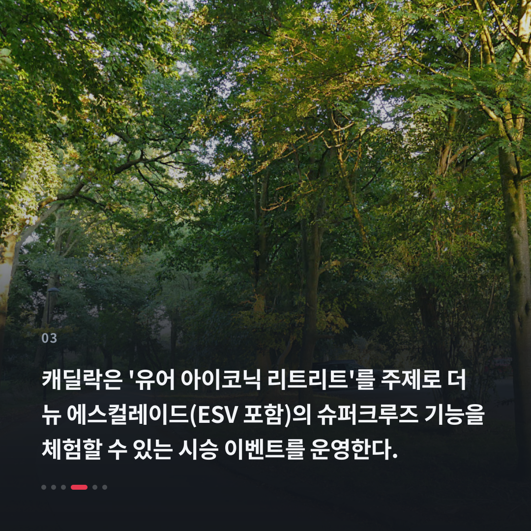 3번째 카드