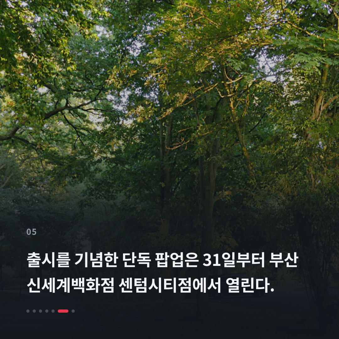 5번째 카드