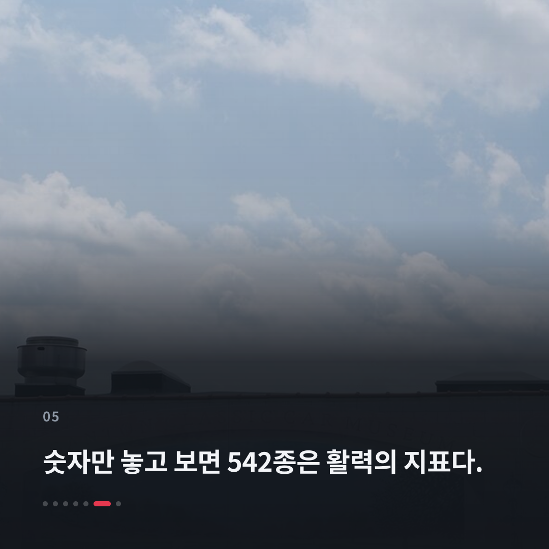 5번째 카드