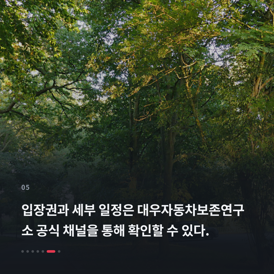 5번째 카드