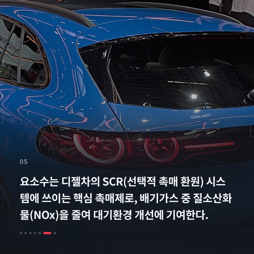 5번째 카드