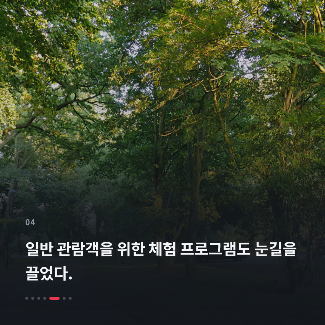 4번째 카드