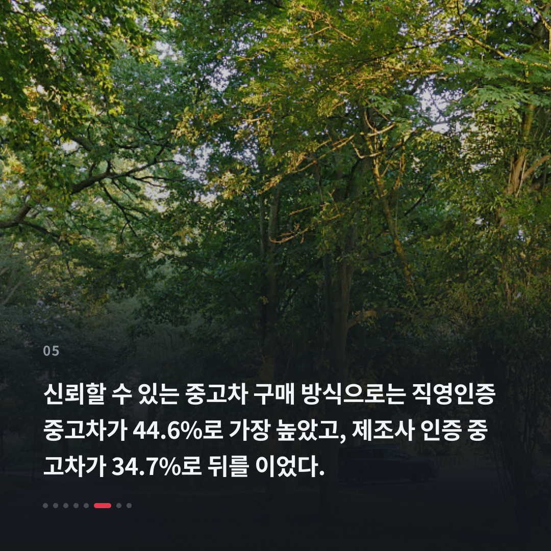 5번째 카드