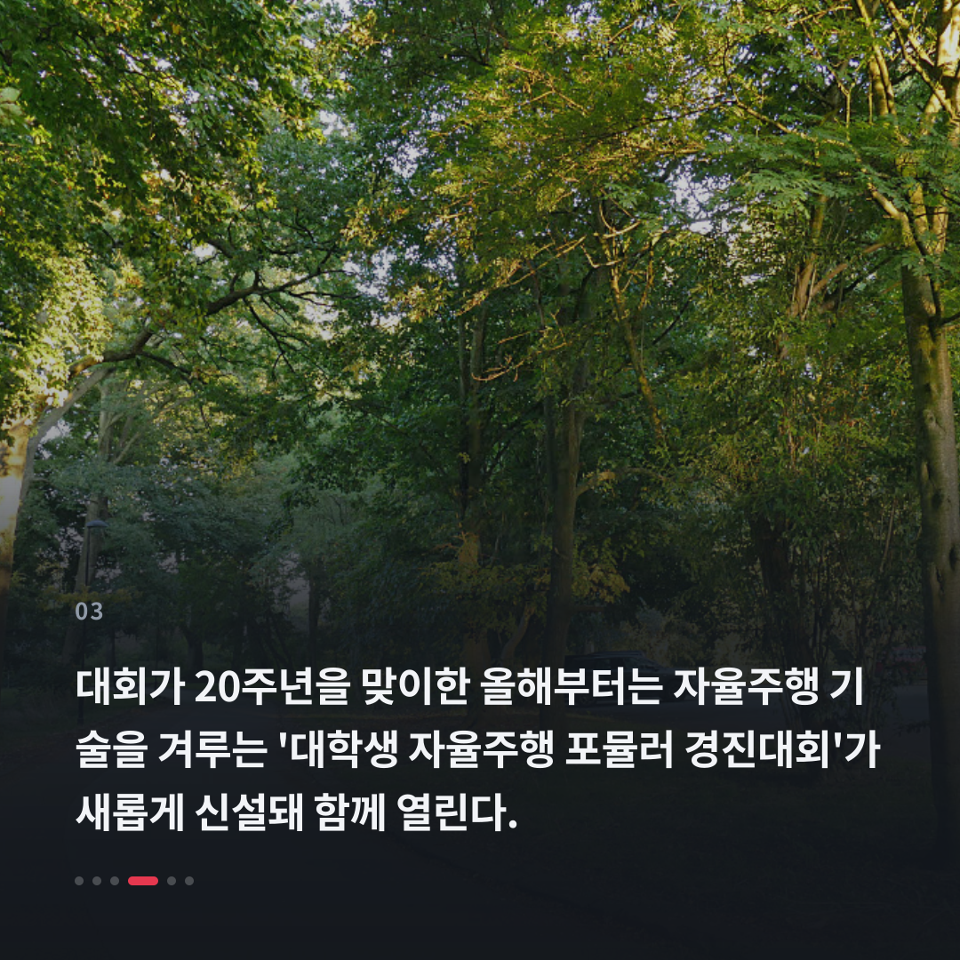 3번째 카드