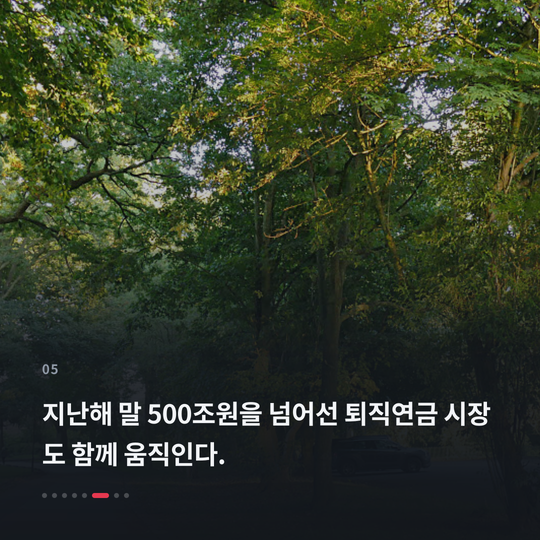 5번째 카드