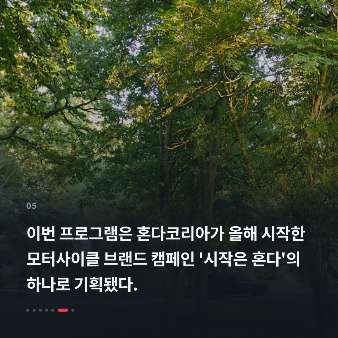 5번째 카드