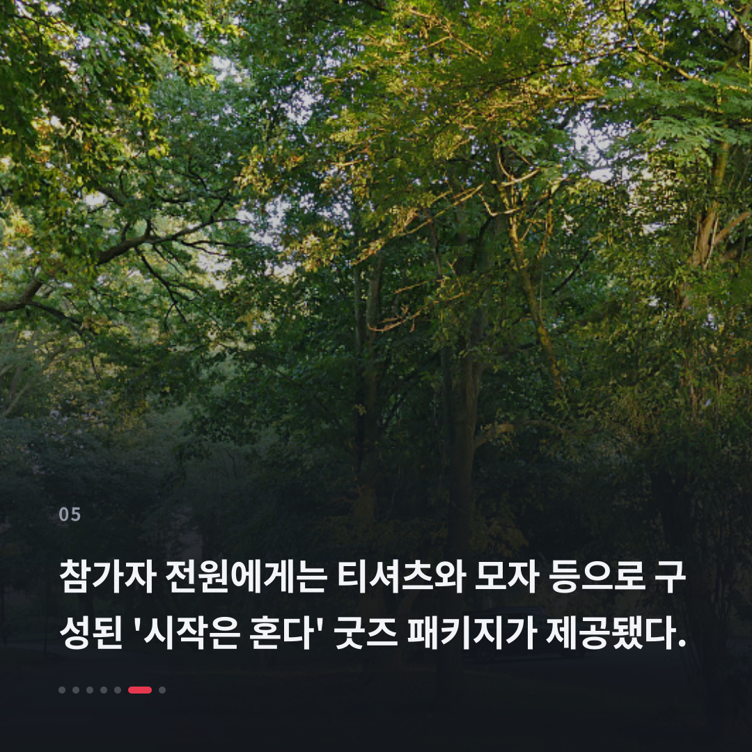 5번째 카드