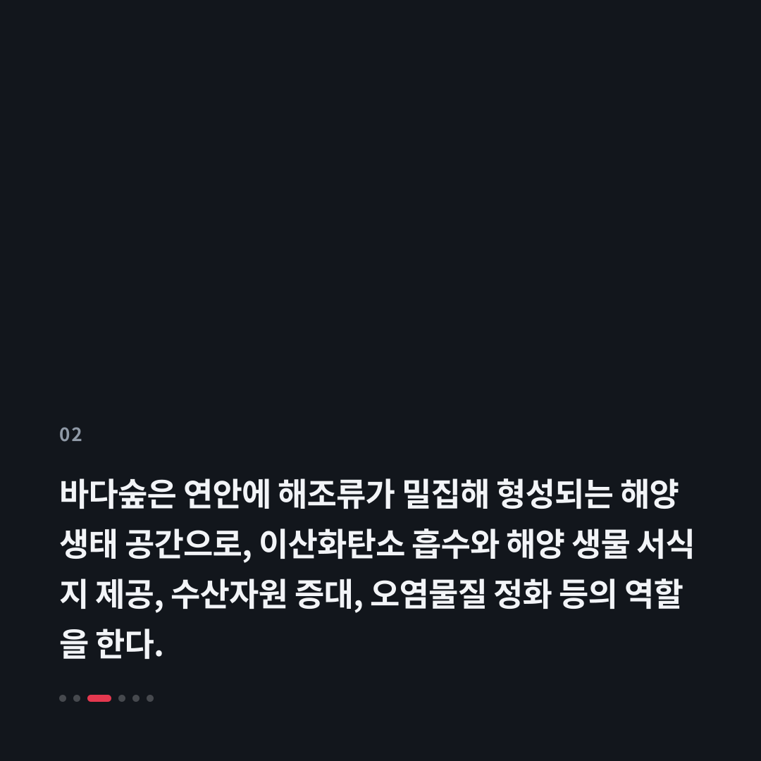 2번째 카드