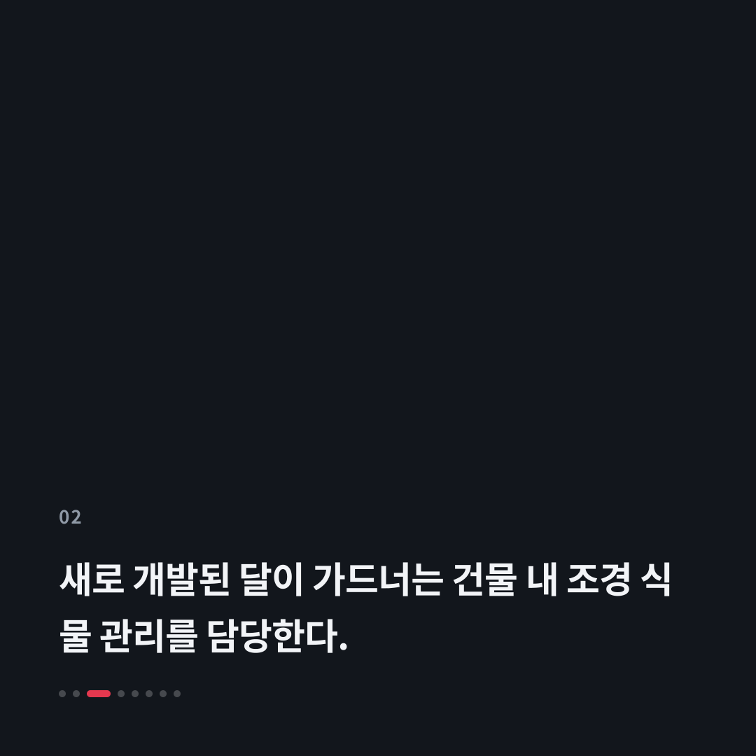 2번째 카드