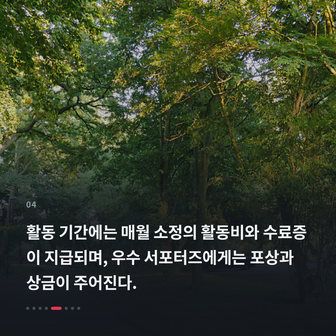 4번째 카드
