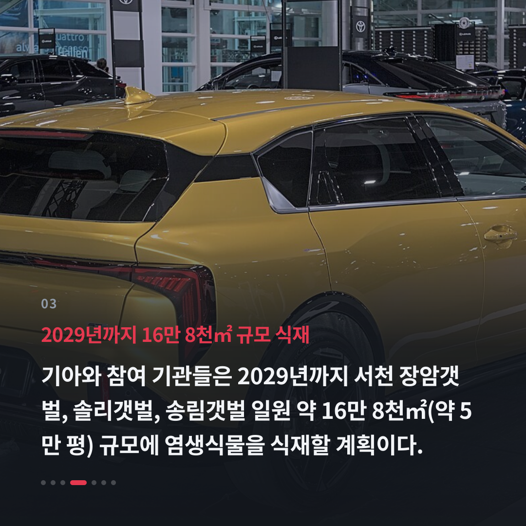 3번째 카드