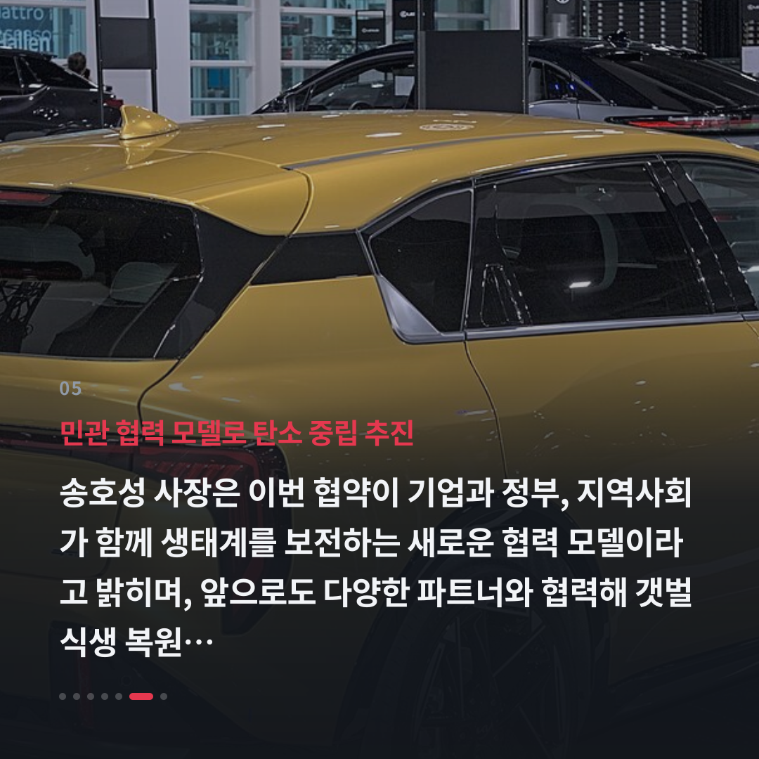 5번째 카드