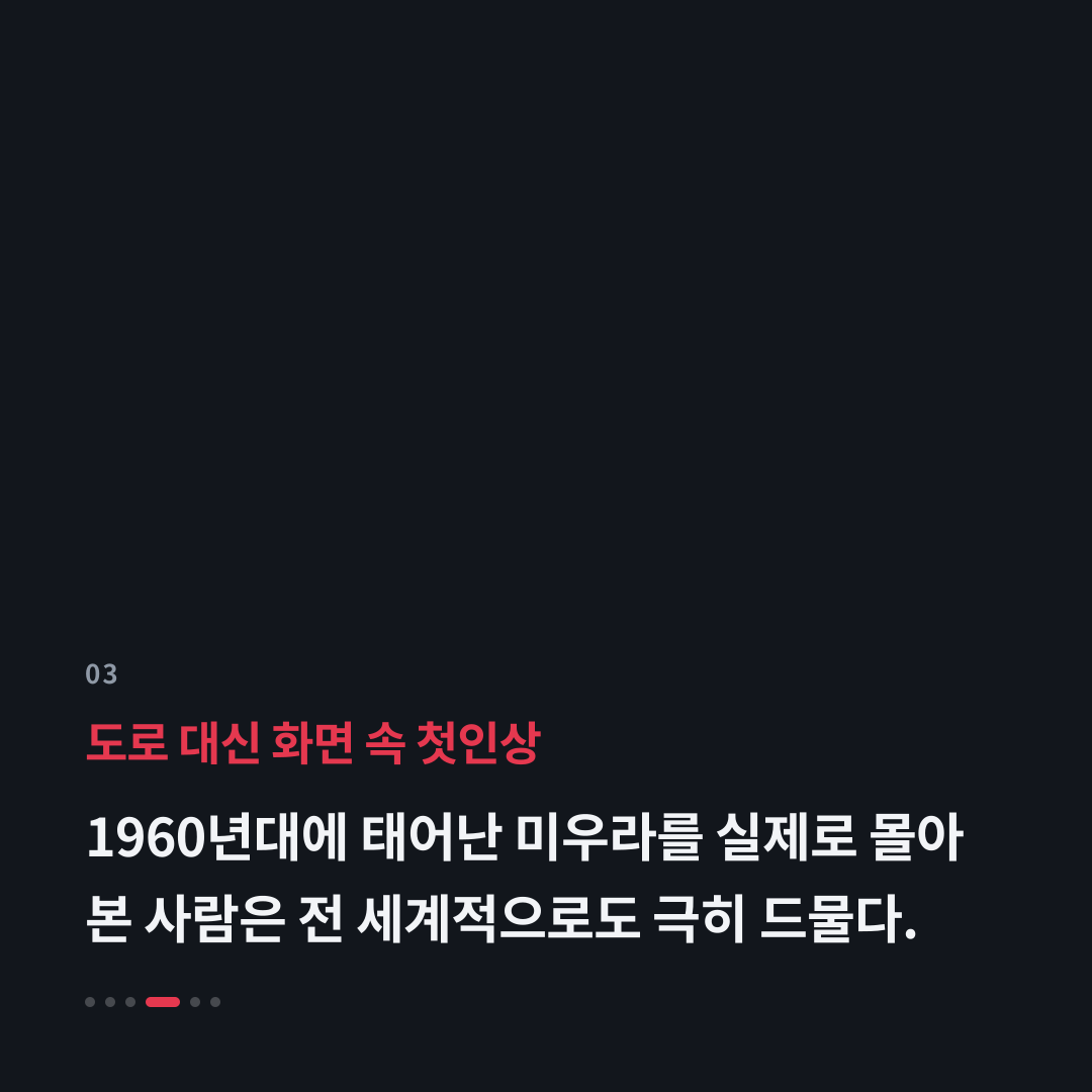 3번째 카드