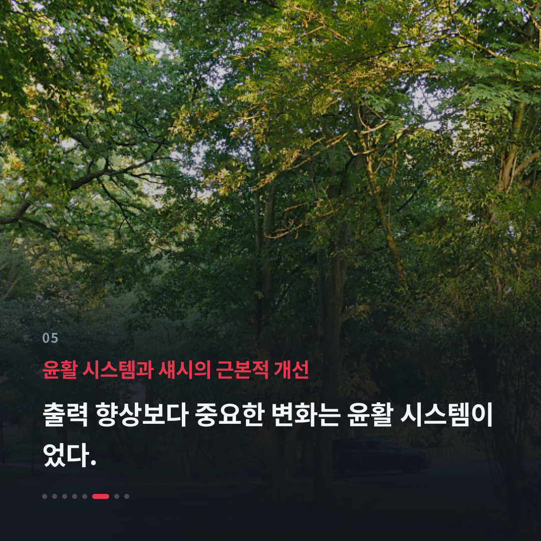 5번째 카드