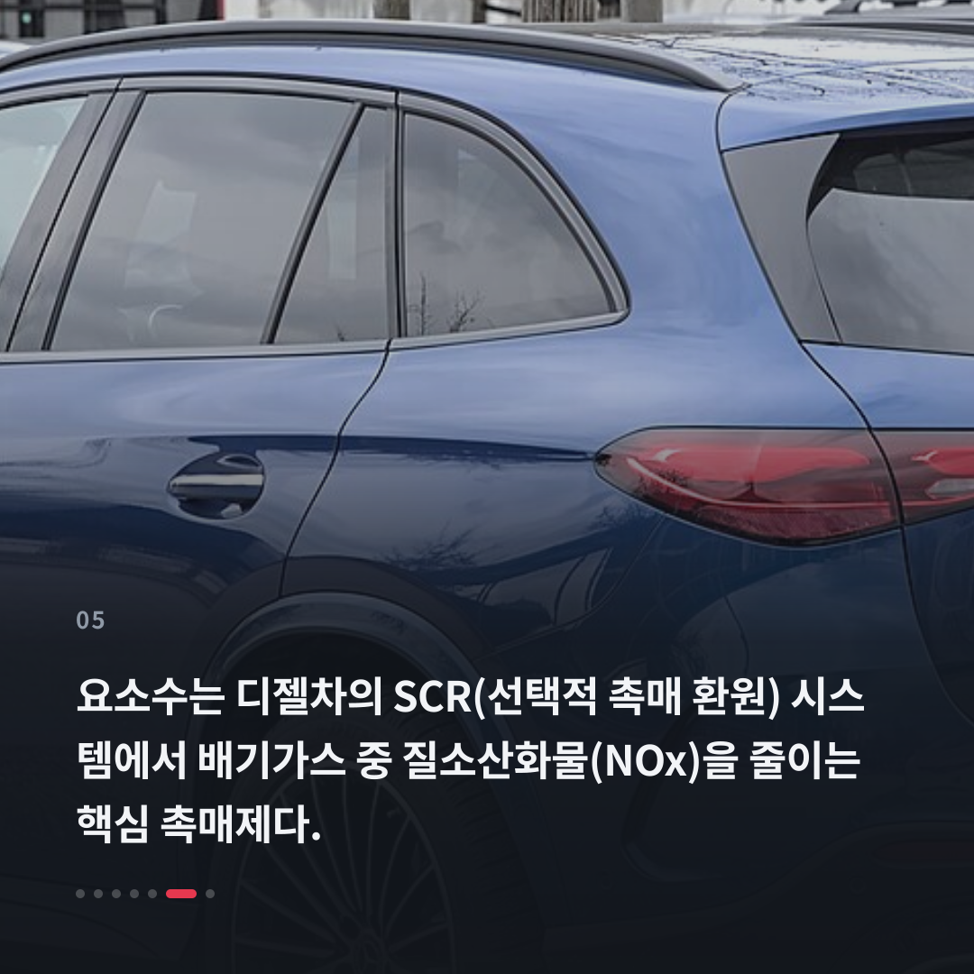 5번째 카드