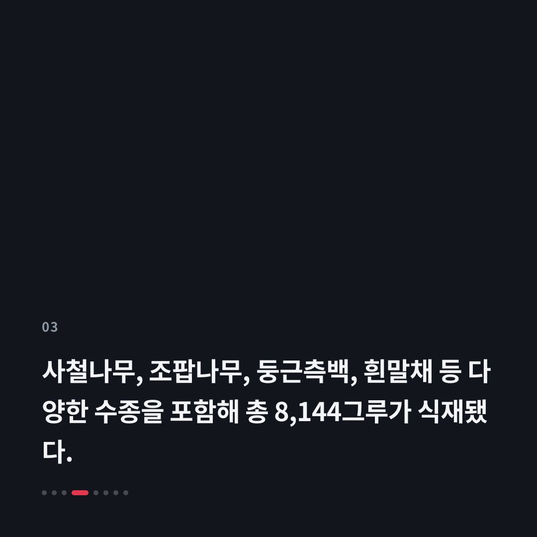 3번째 카드