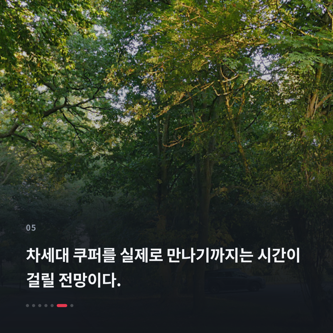 5번째 카드