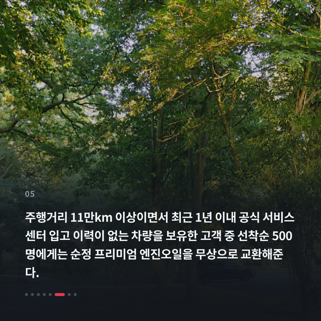 5번째 카드