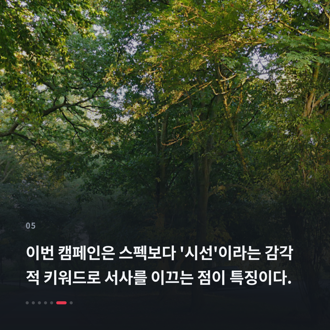 5번째 카드