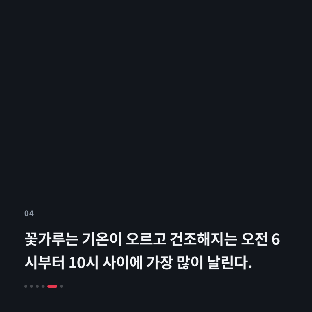4번째 카드