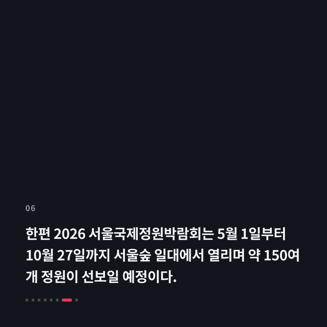 6번째 카드