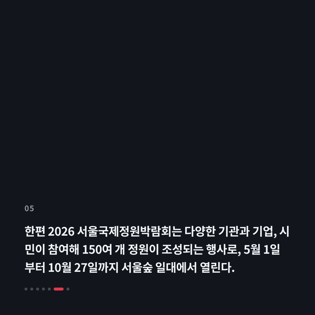 5번째 카드