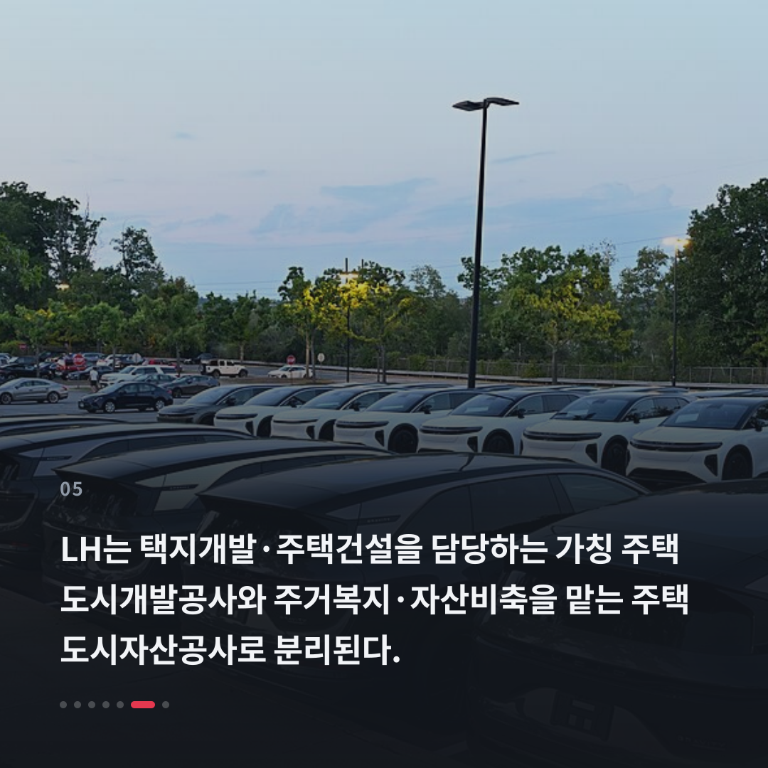 5번째 카드