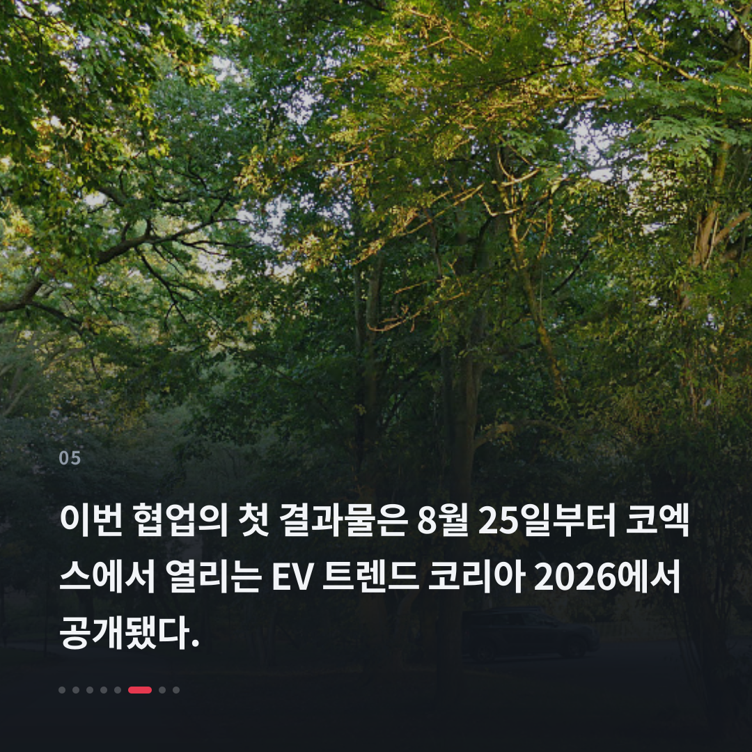 5번째 카드