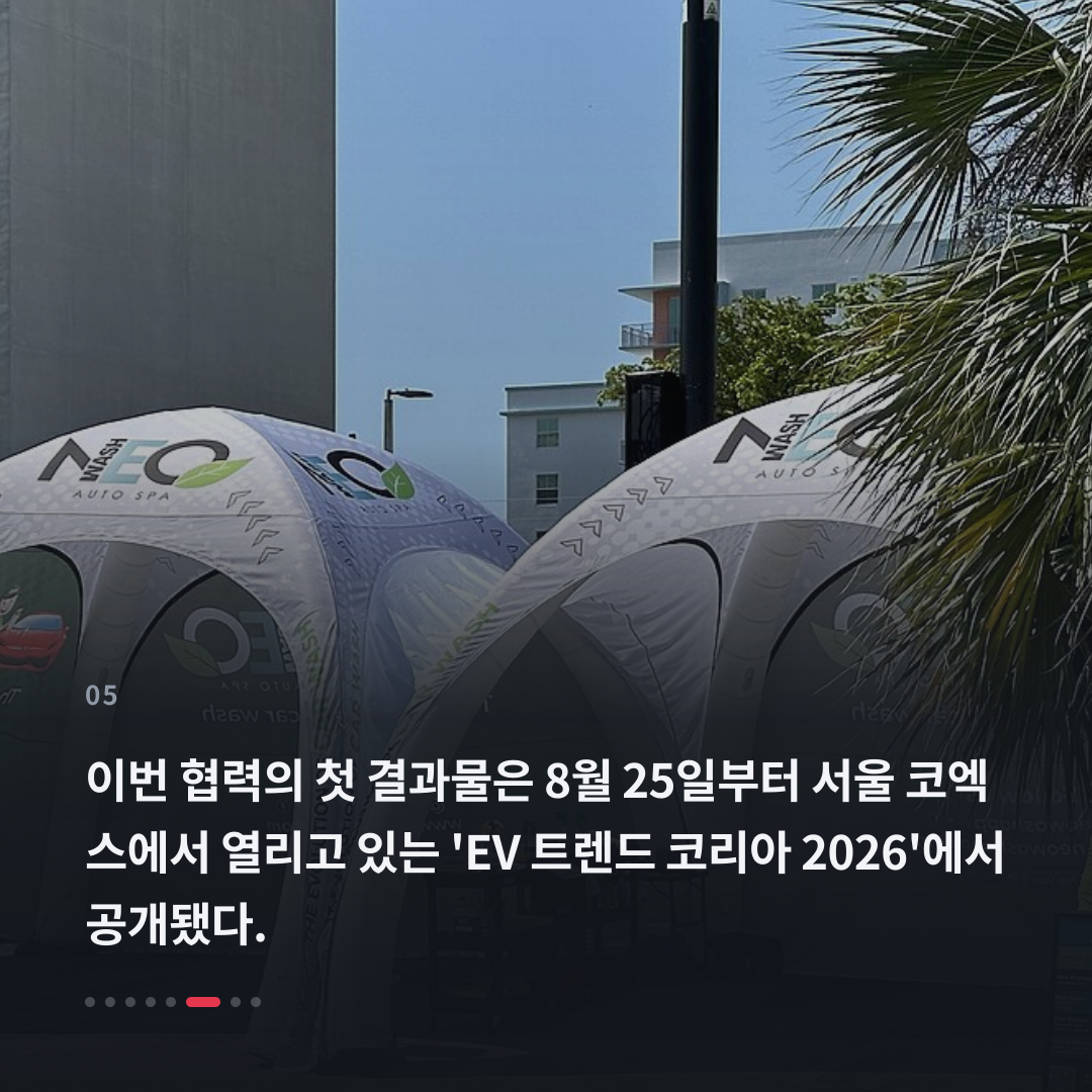 5번째 카드