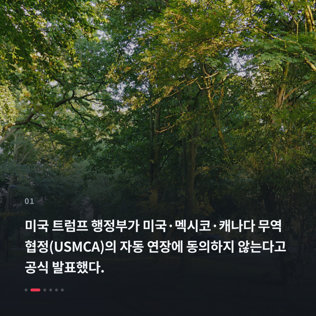 1번째 카드