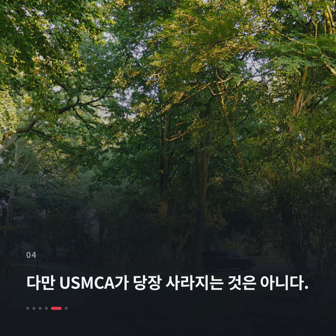 4번째 카드