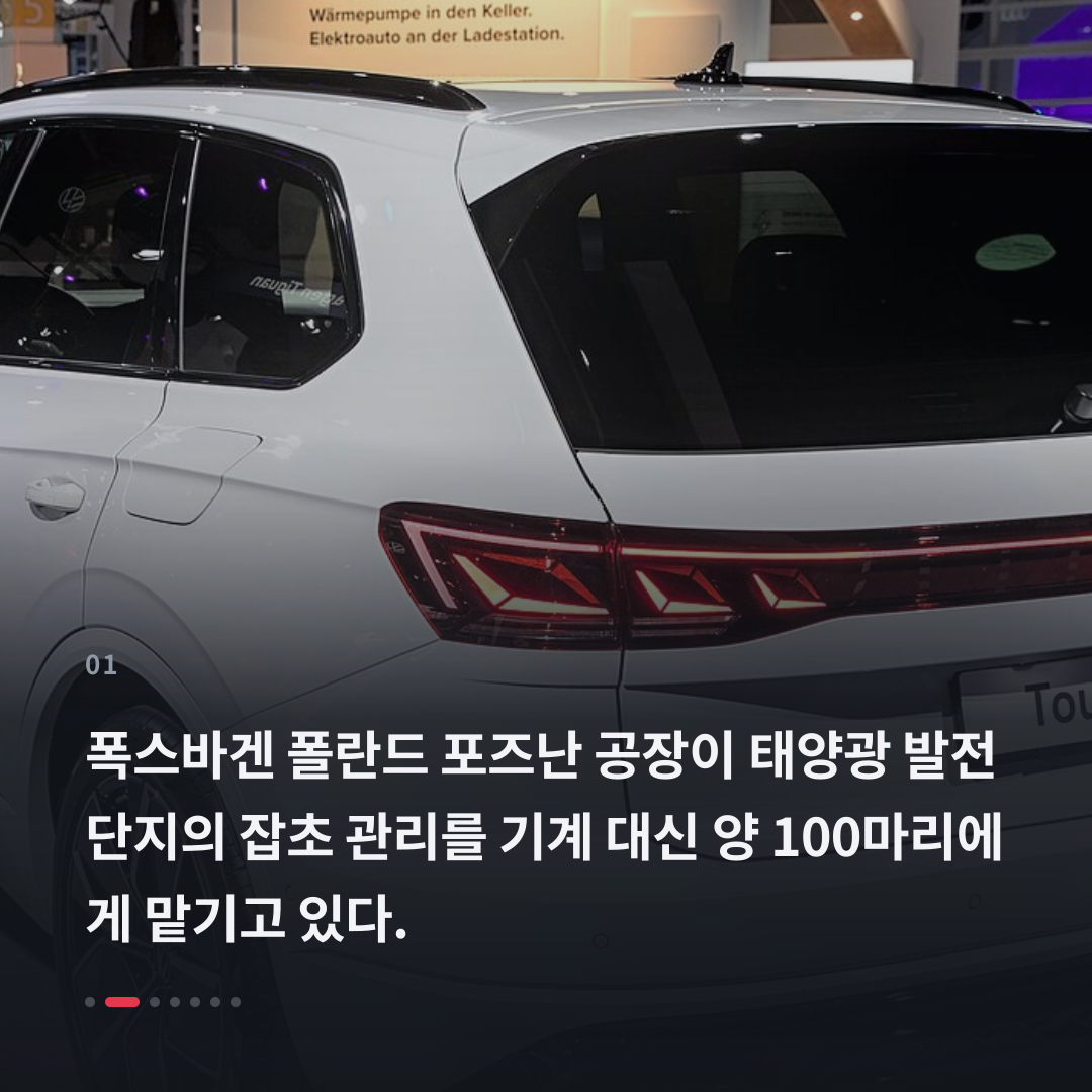 1번째 카드